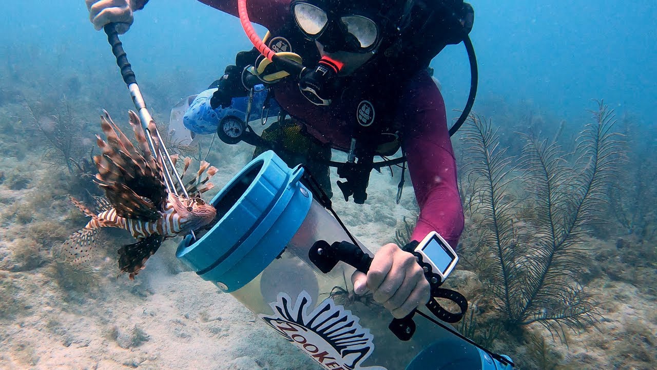 Spearfishing Lionfish | Bounty Hunters of the Reef | Diving Doubles/Twin Scuba Tanks | Florida Keys