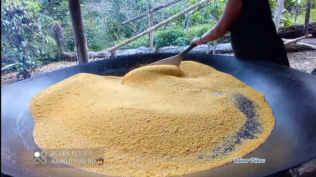 Cómo se hace la Farinha de Mandioca o Mañoco Rio Preto Do Eva 2022 Fácil y sencillo - Rainer Piñeiro