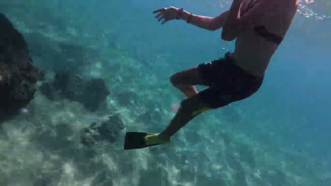 Snorkeling at Blackrock Maui