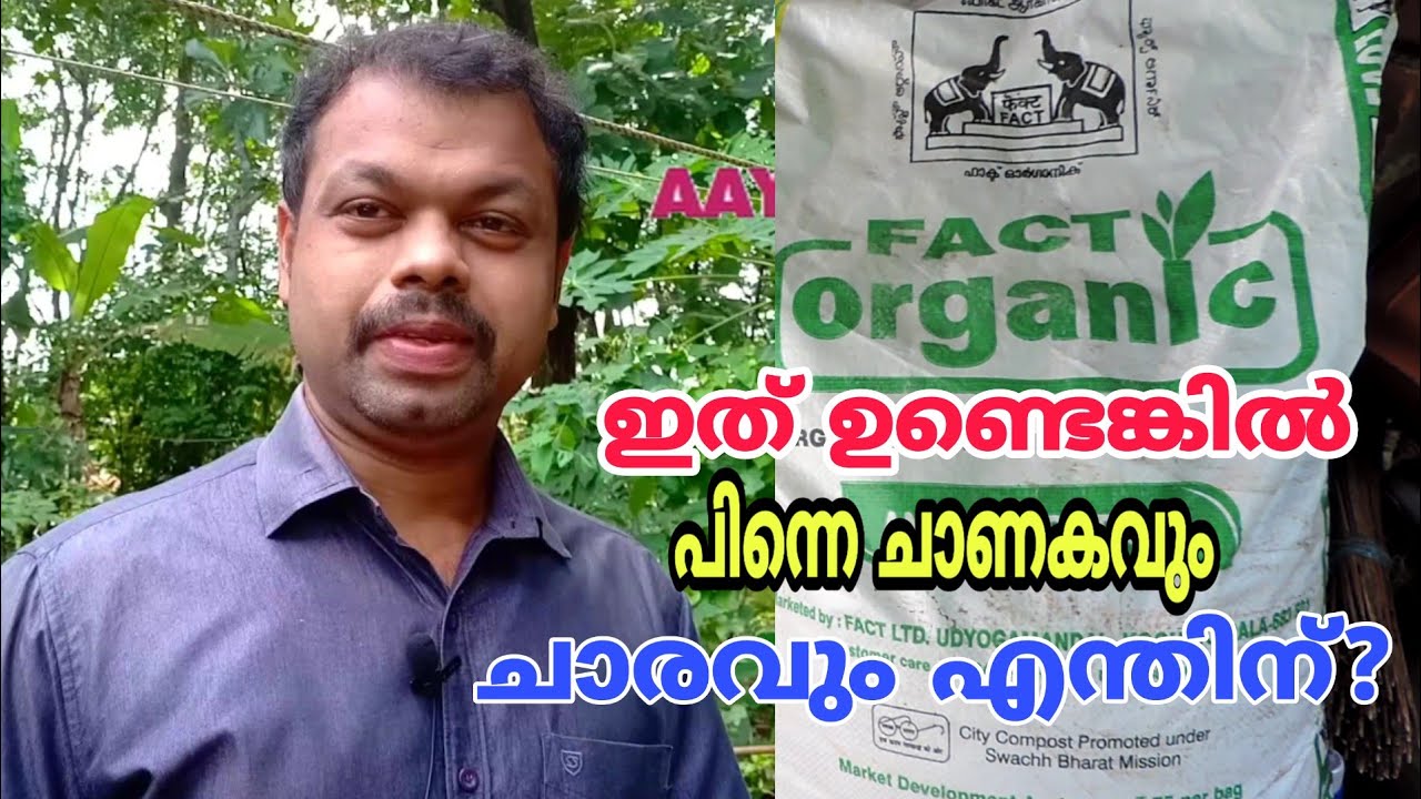 ചാണകവും ചാരവും കിട്ടാനില്ലെങ്കില്‍ ഇത് മാത്രം മതി | BEST ORGANIC FERTILIZER