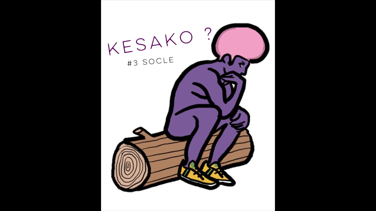 Kesako : le socle commun de connaissances et de comp&eacute;tences.