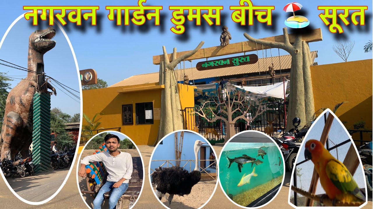 नगरवन पार्क सुरत | Nature Park in Surat | Nagarvan Garden Surat Dumas | Nature Bird Park| Surat Vlog