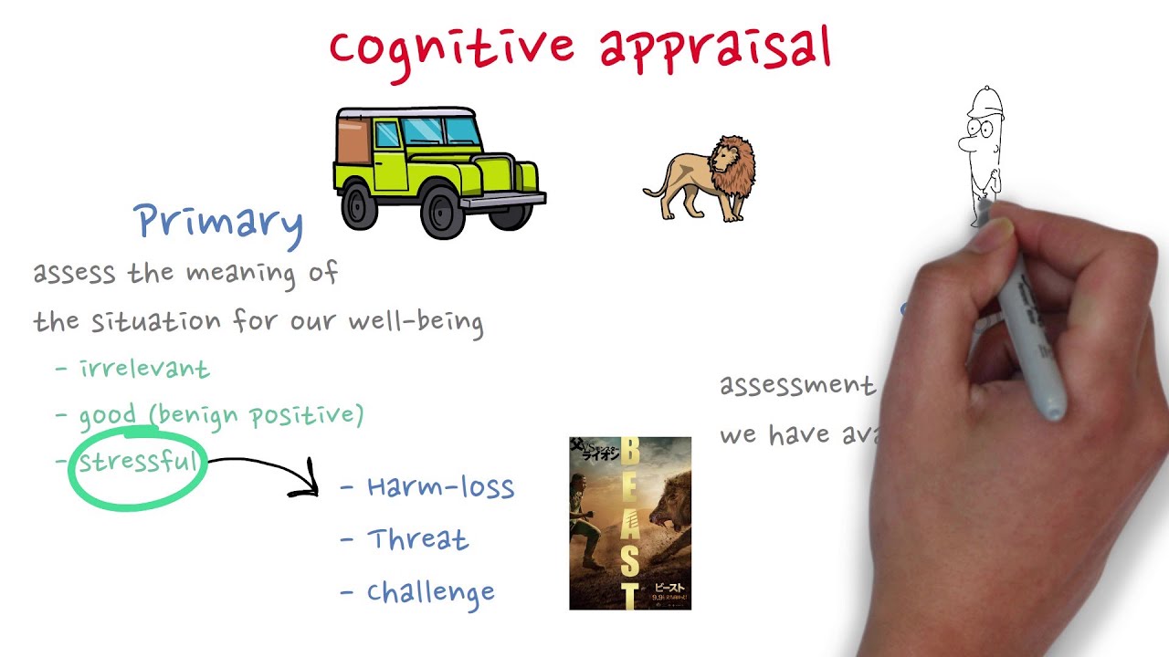 Cognitive appraisal: Transactional model of stress