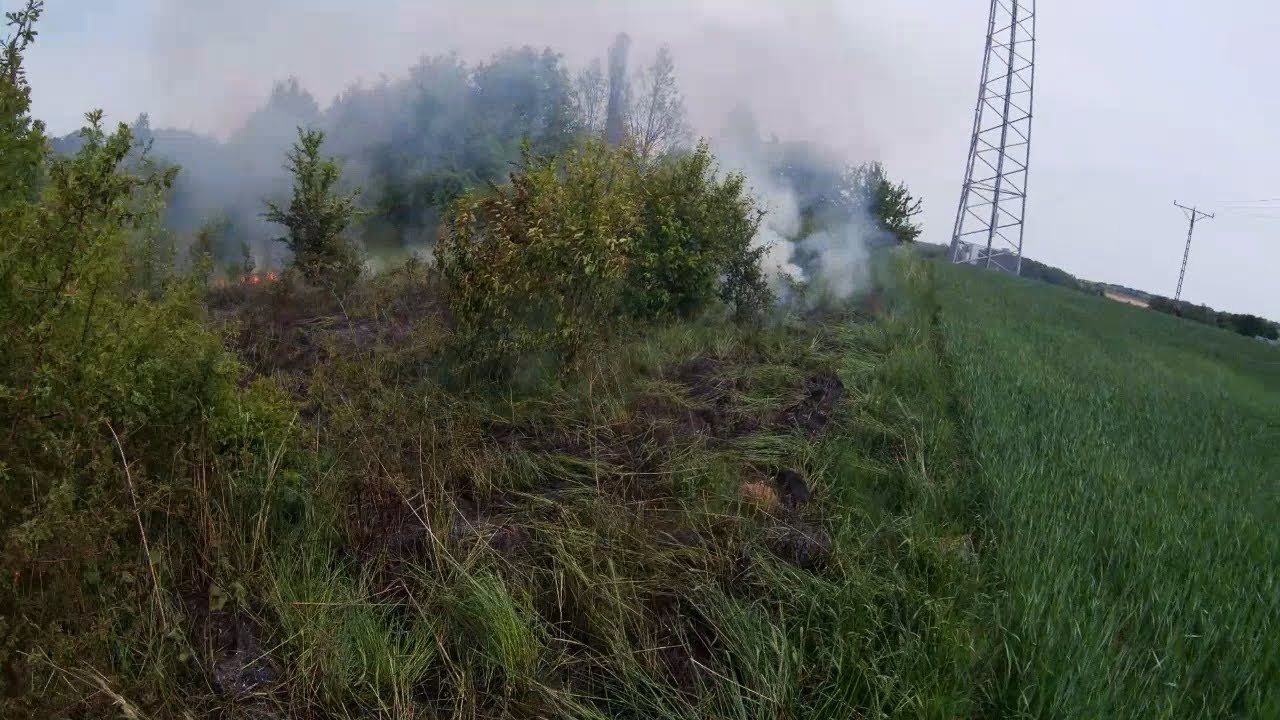[ALARMOWO] Pożar trawy i krzaków zagrażał budynkom mieszkalnym.