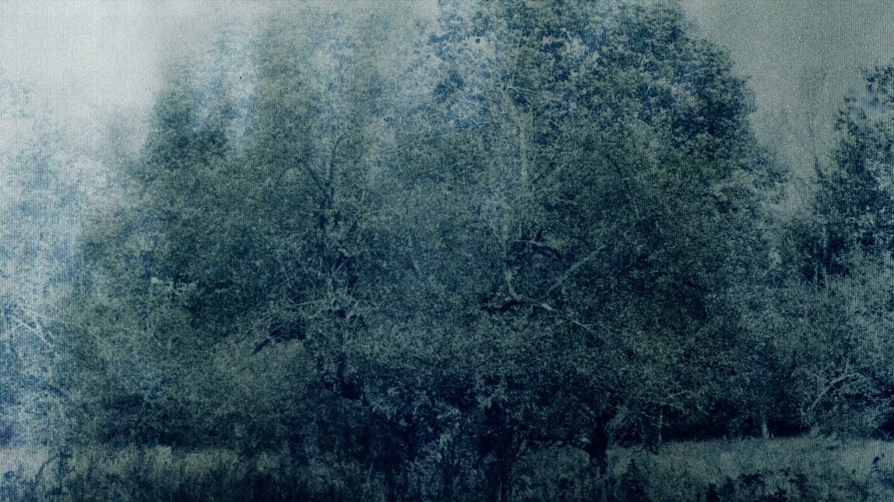 Paul Haslinger - Septuagint (Official Video)