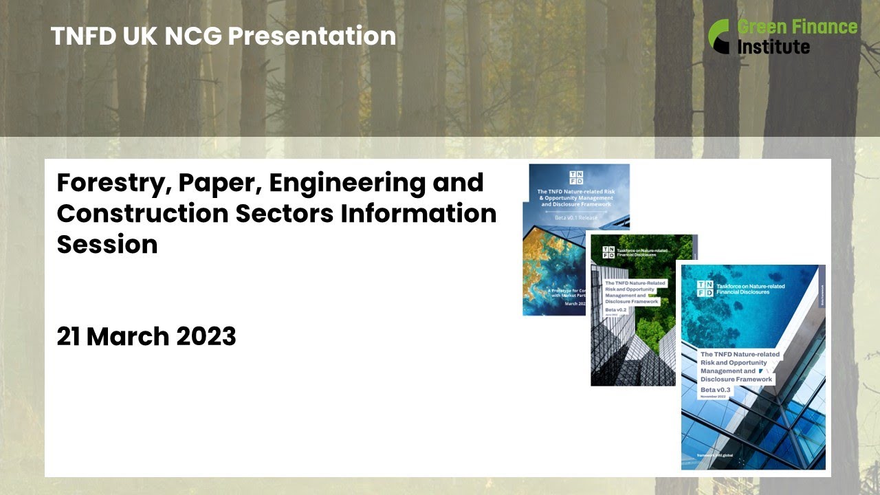 TNFD webinar - forestry, paper, engineering and construction