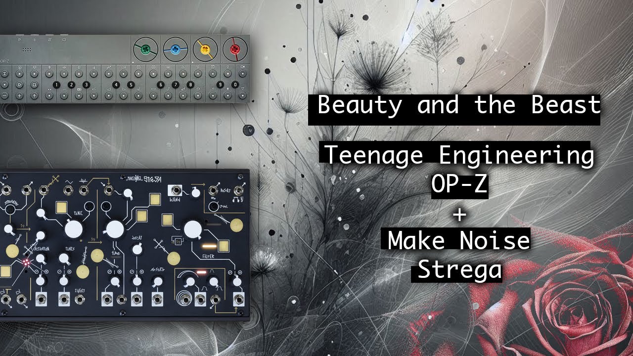 Make Noise Strega Adds Extra Chaos to OP-Z Song