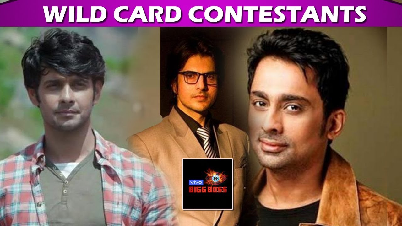 Bigg Boss 13: Viraf Patel, Rahil Azam & Anuj Saxena To Enter As Wild Card Contestant