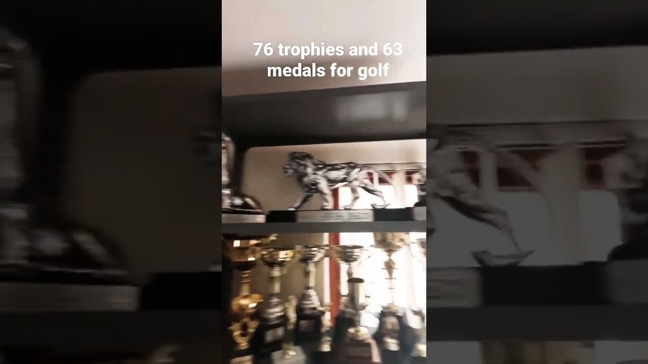 My trophies and medal collection