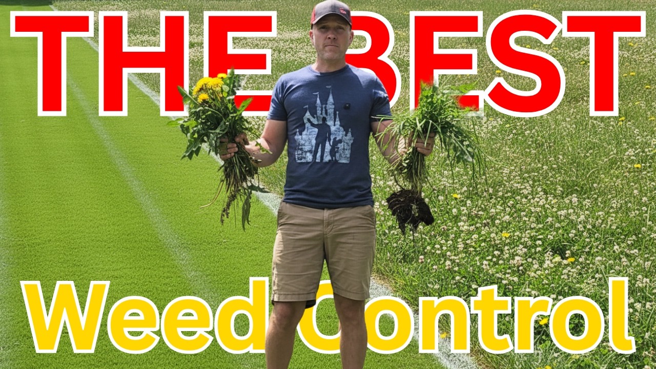 The Best Weed Control