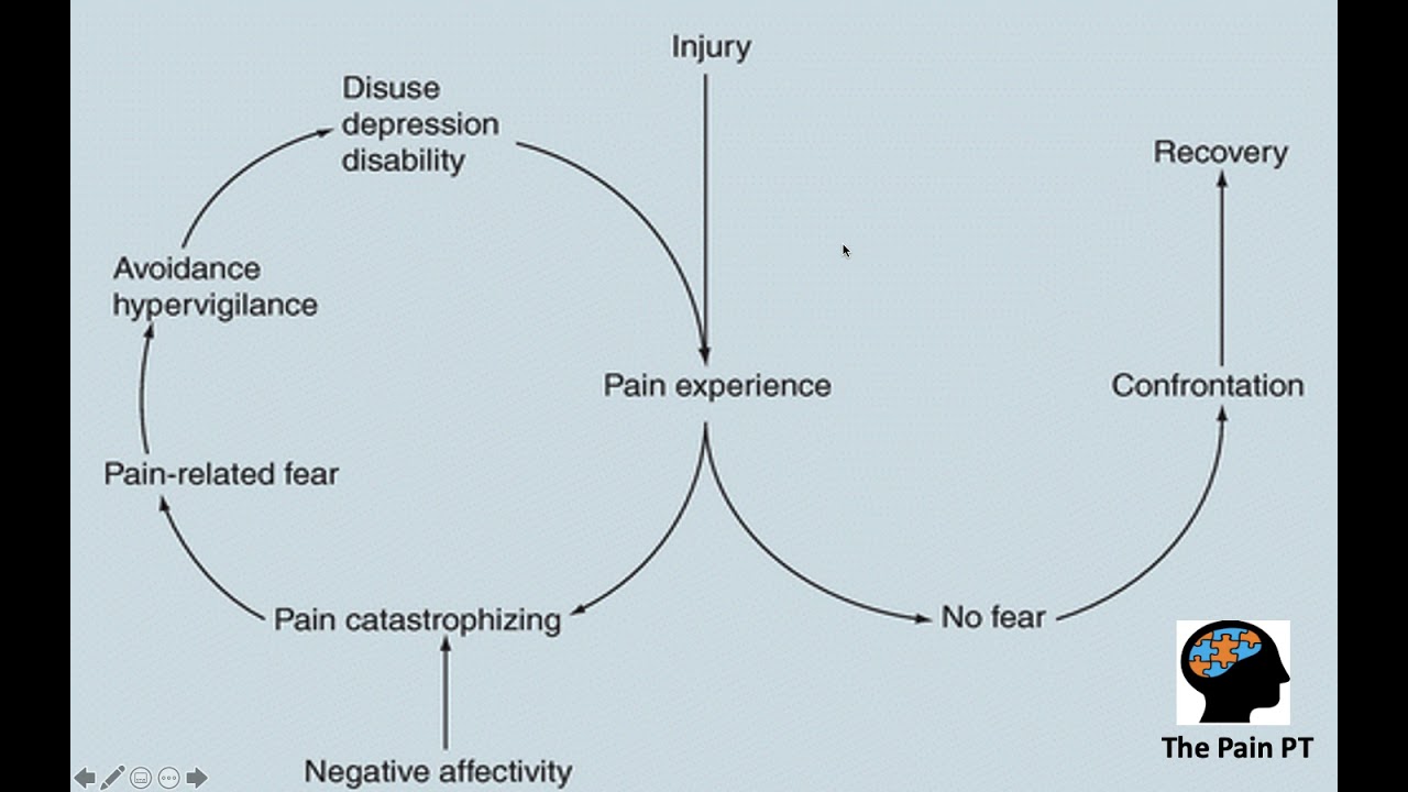 The Fear-Avoidance Cycle & How to Get Out of It