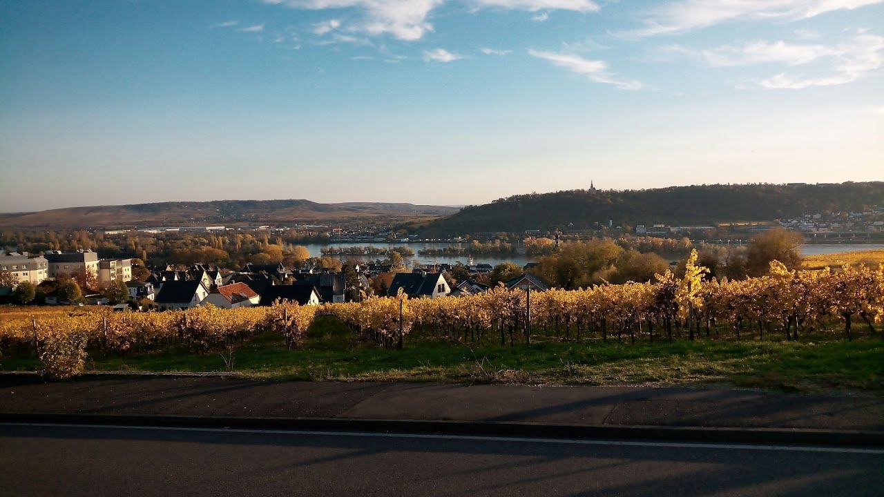 Motorbike Tour - Rhein Taunus 13.11.2022