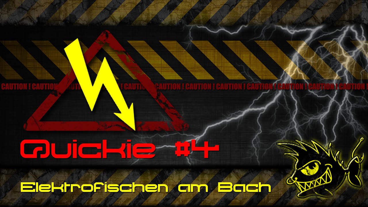 Quickie #4: Elektrofischen am Bach