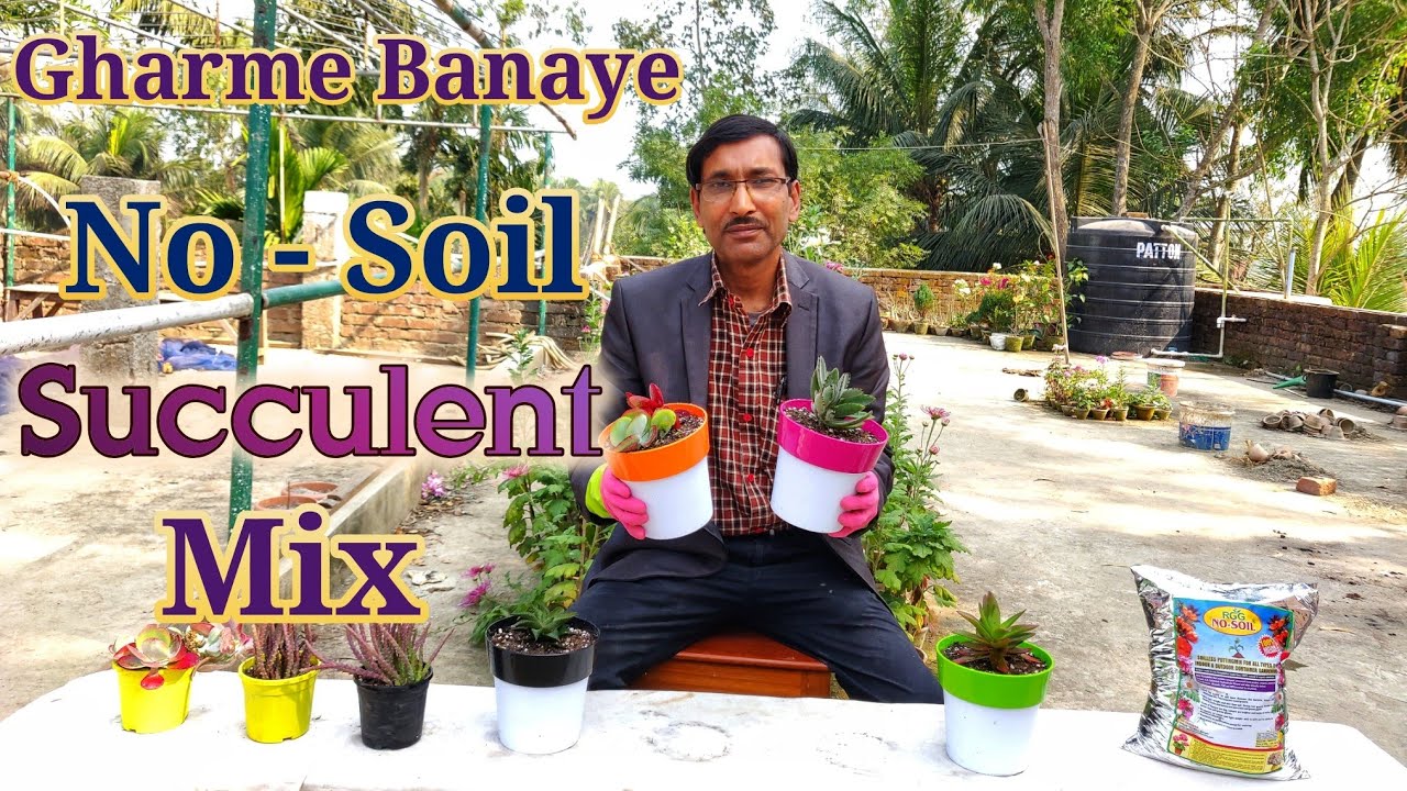 Gharme Banaye No - Soil Succulent and Cacti Mix