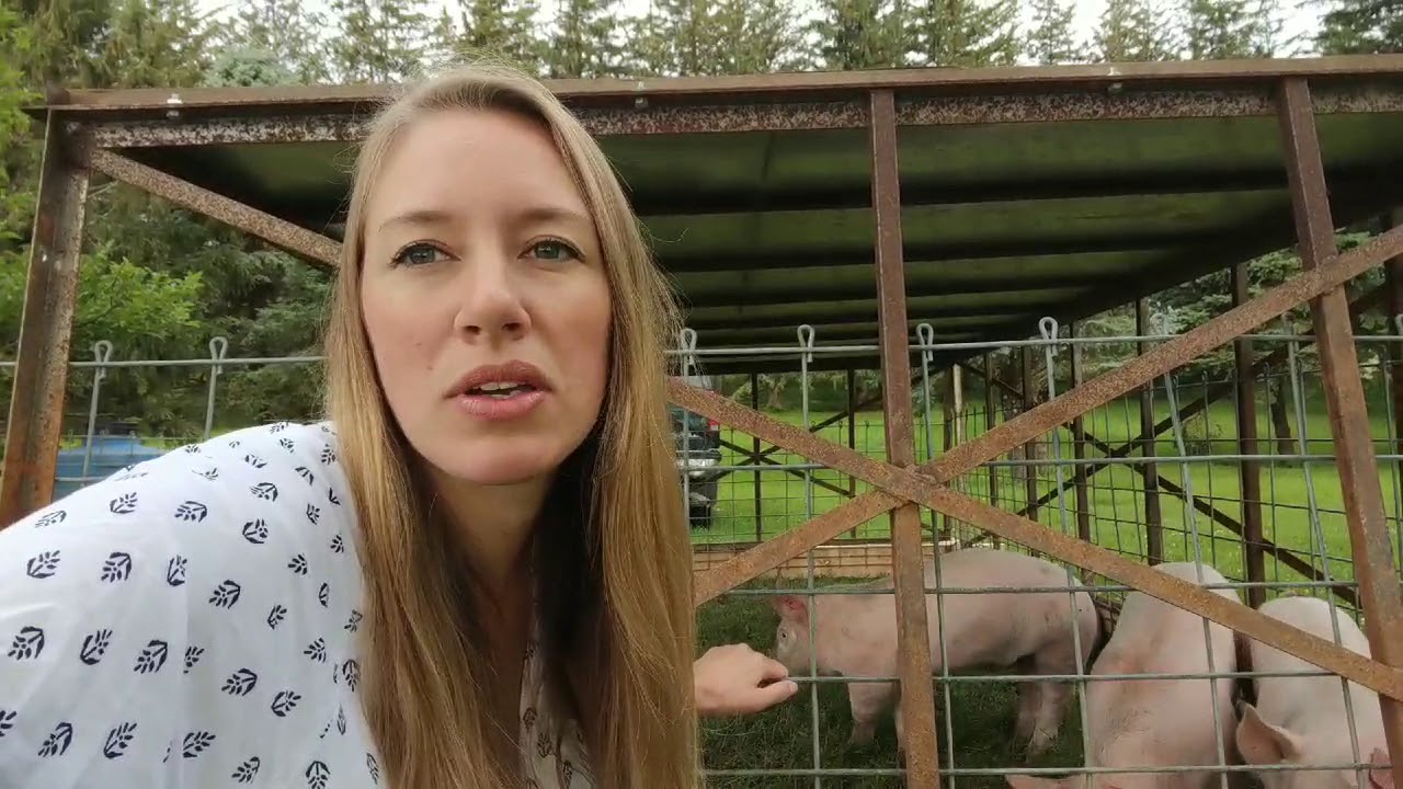 Movable Pig Tractor