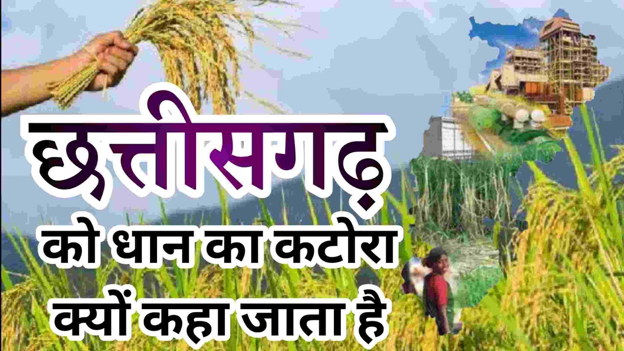 Why is Chhattisgarh called the rice bowl?