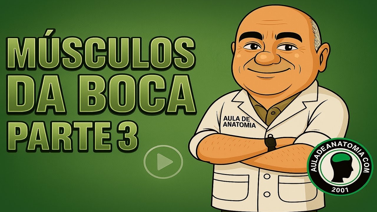 MÚSCULOS DA BOCA  - PARTE 3