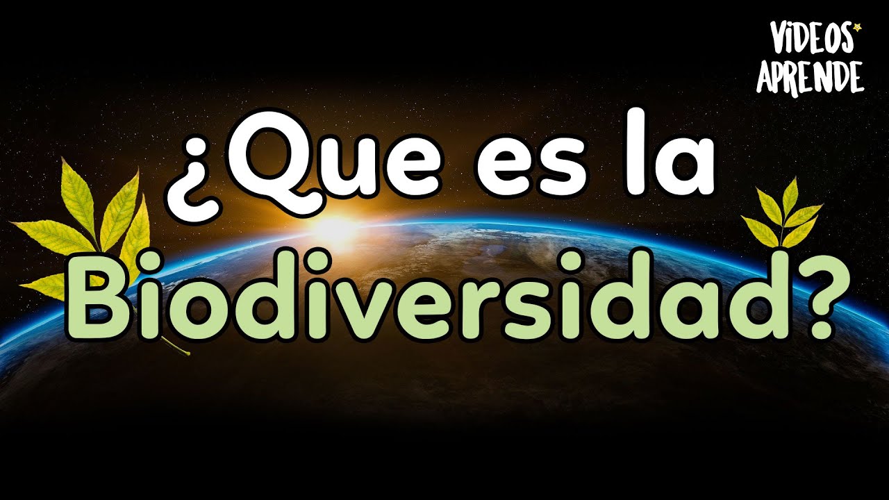 ¿Qué es la biodiversidad? - Videos Aprende