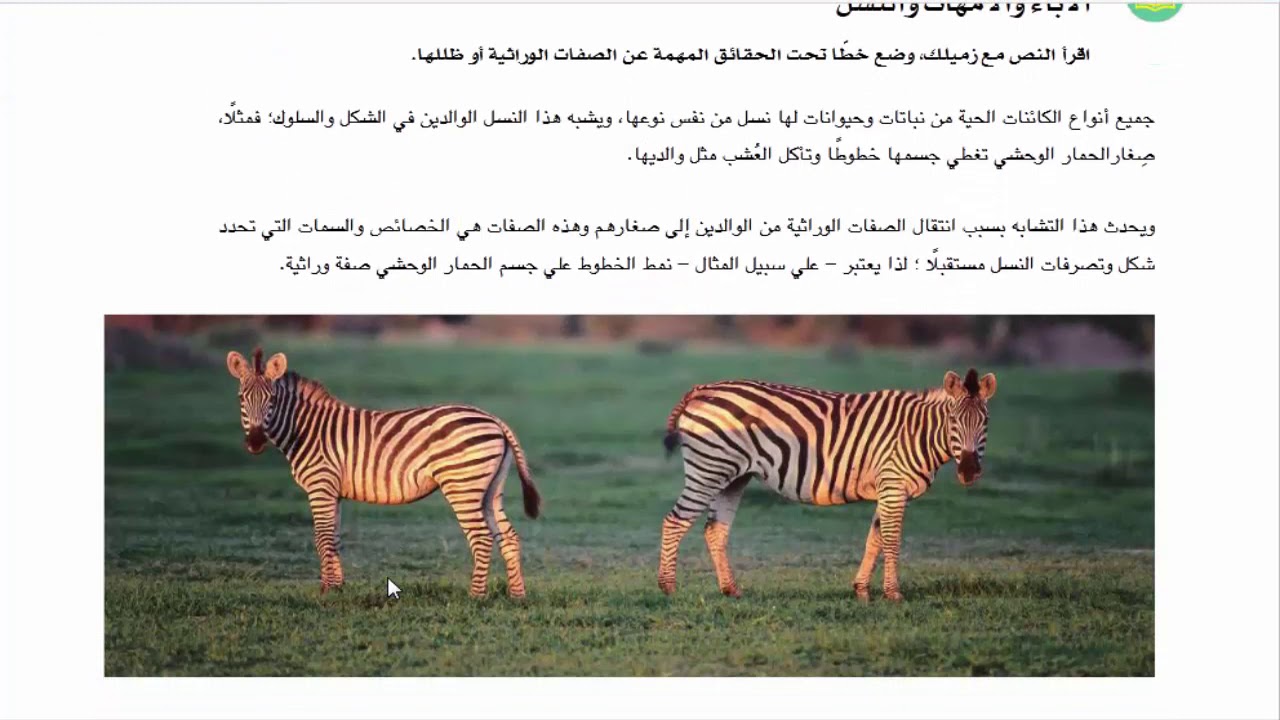 حل الدرس 3 كتاب المدرسه اكتشف للصف الثالث الابتدائى ترم تانى  الفصل الاول انماط التغير