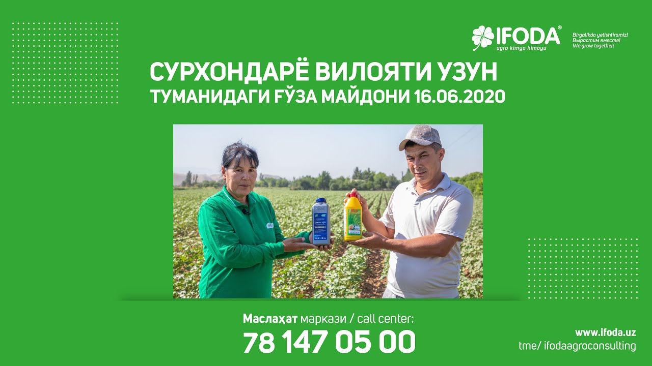 ҲОСИЛДОРЛИКНИ ОШИРИБ БОРАЁТГАН 