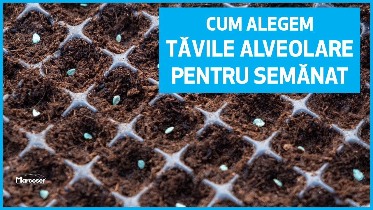 Cum Alegem Tăvile și Alveolele pentru Semănarea Răsadurilor? | Marcoser
