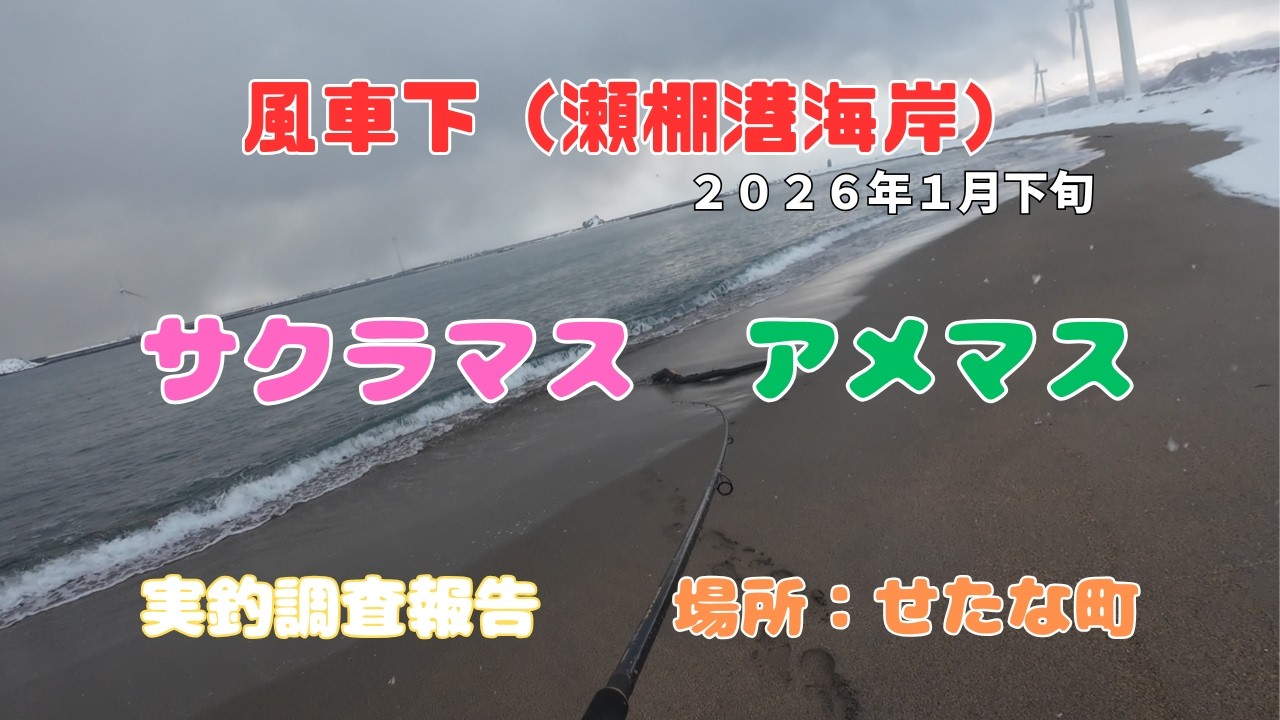 【サクラマス】２０２６年実釣調査報告開始！！＊概要欄に訂正情報あります。