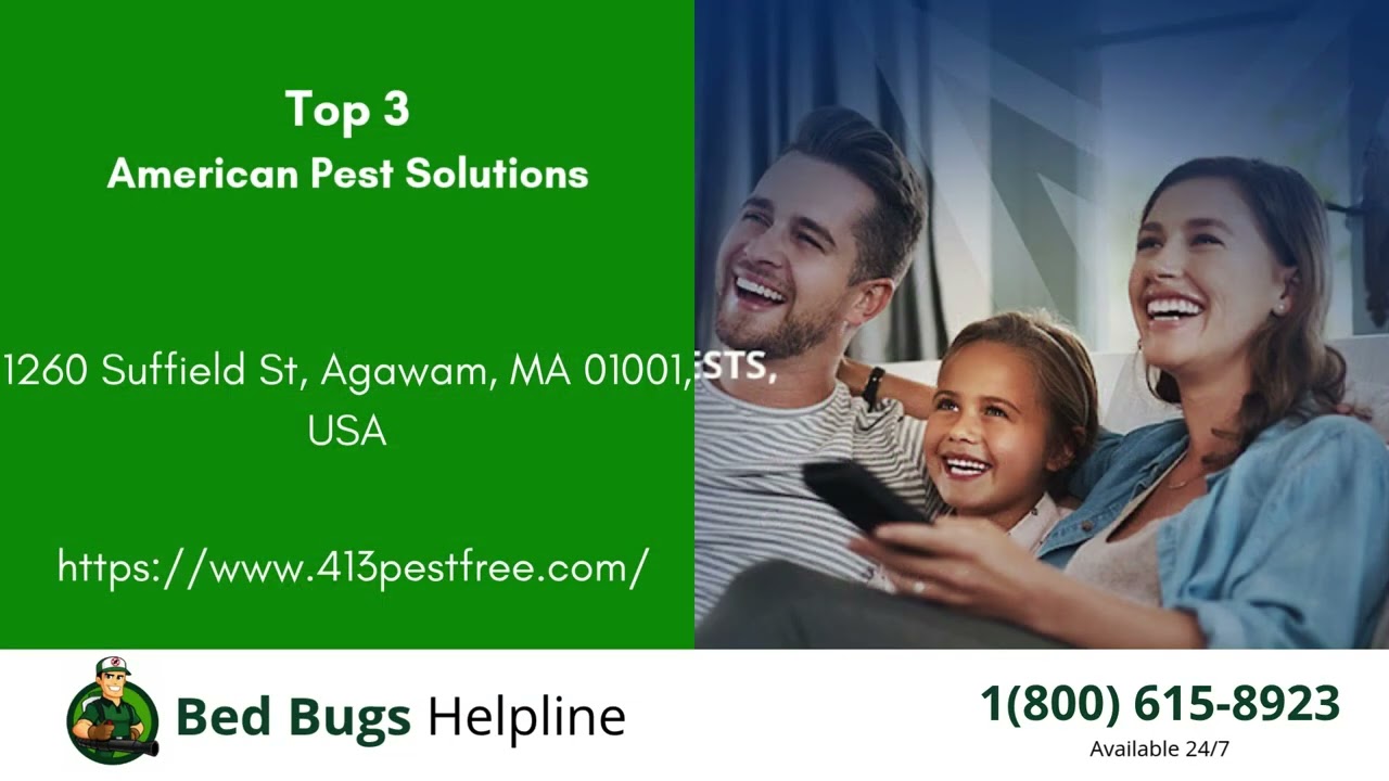 Top 3 Bed Bug Removal Companies in West Springfield Town
