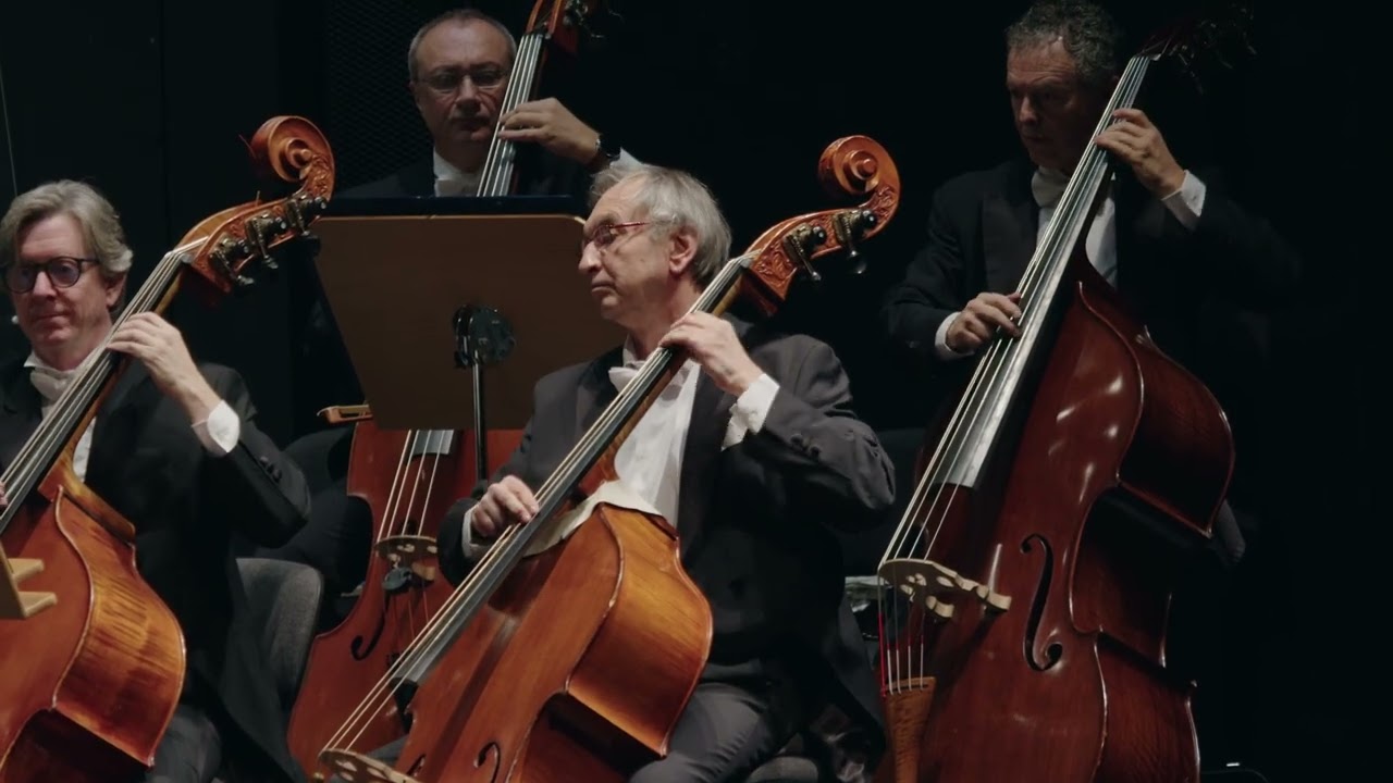 DAAHOUD SALIM | Siete principios herméticos | Director | Pablo González