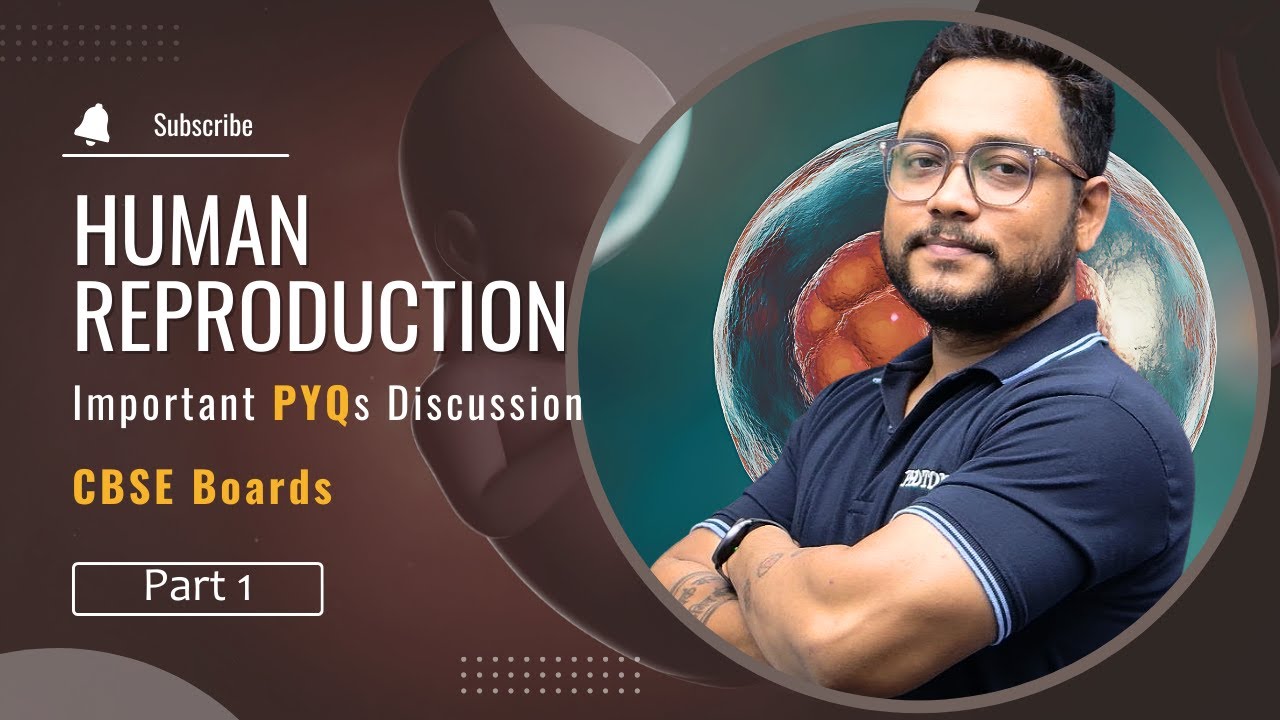 Human Reproduction | Biology Class 12 | Important PYQs | Photon Classes