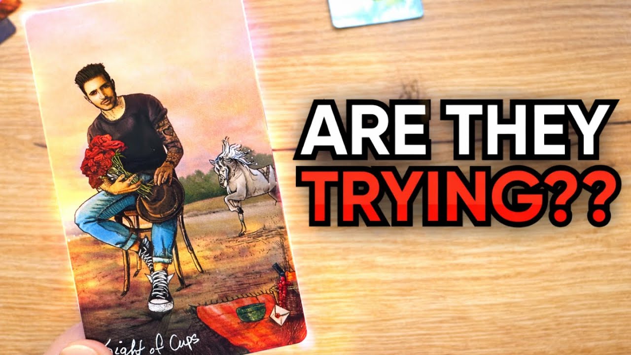 DO THEY CARE ENOUGH TO UNDERSTAND YOU? Third party tarot reading twin flame
