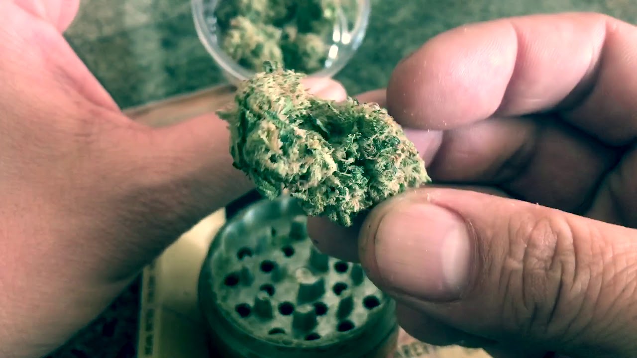 Mega Wellness // Nameless Genetics