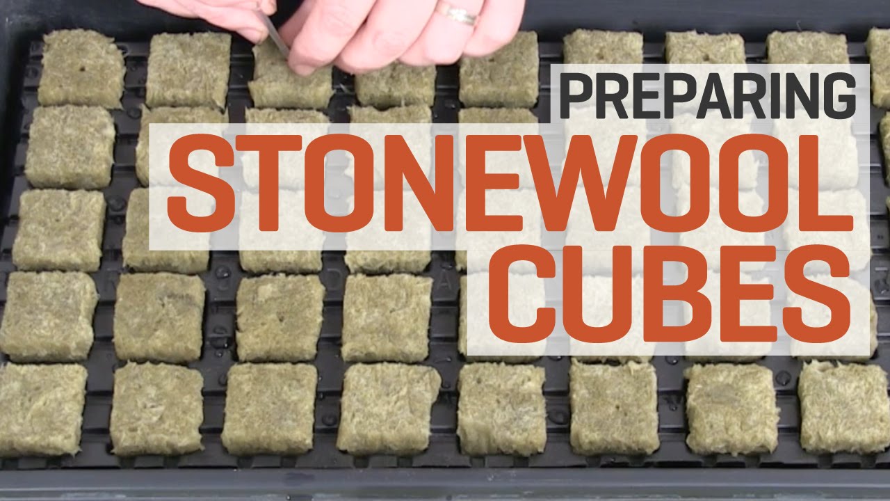 How To Prepare and Pre-soak Rockwool Cubes for Hydroponics&mdash;The Right Way!