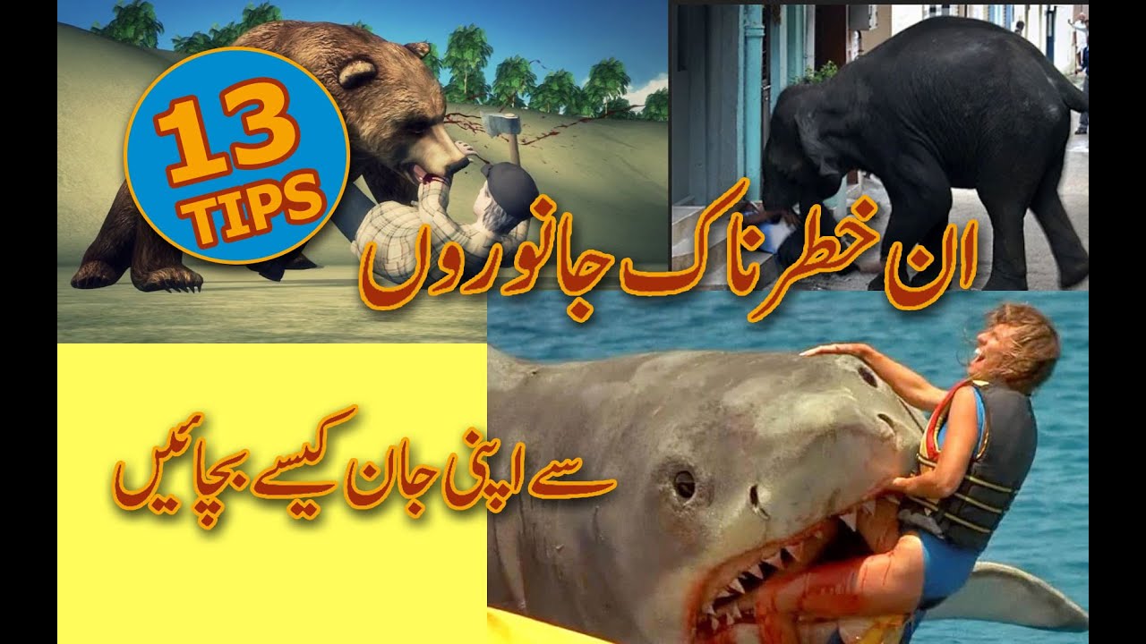 13 Tips on How to Survive Wild Animal Attacks in URDU/HINDI