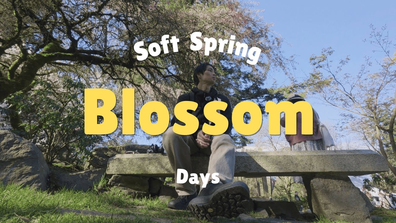 I Tried Being a Photographer at Sakura Festival