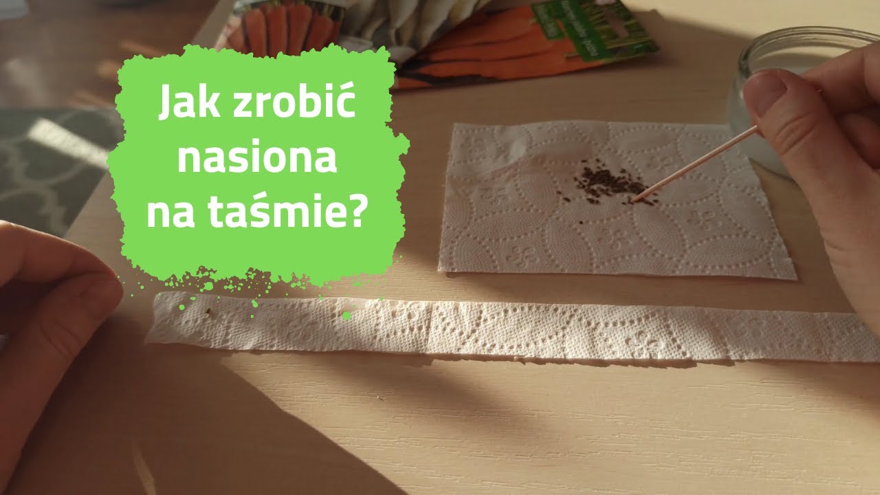 #12 Jak zrobić nasiona na taśmie?