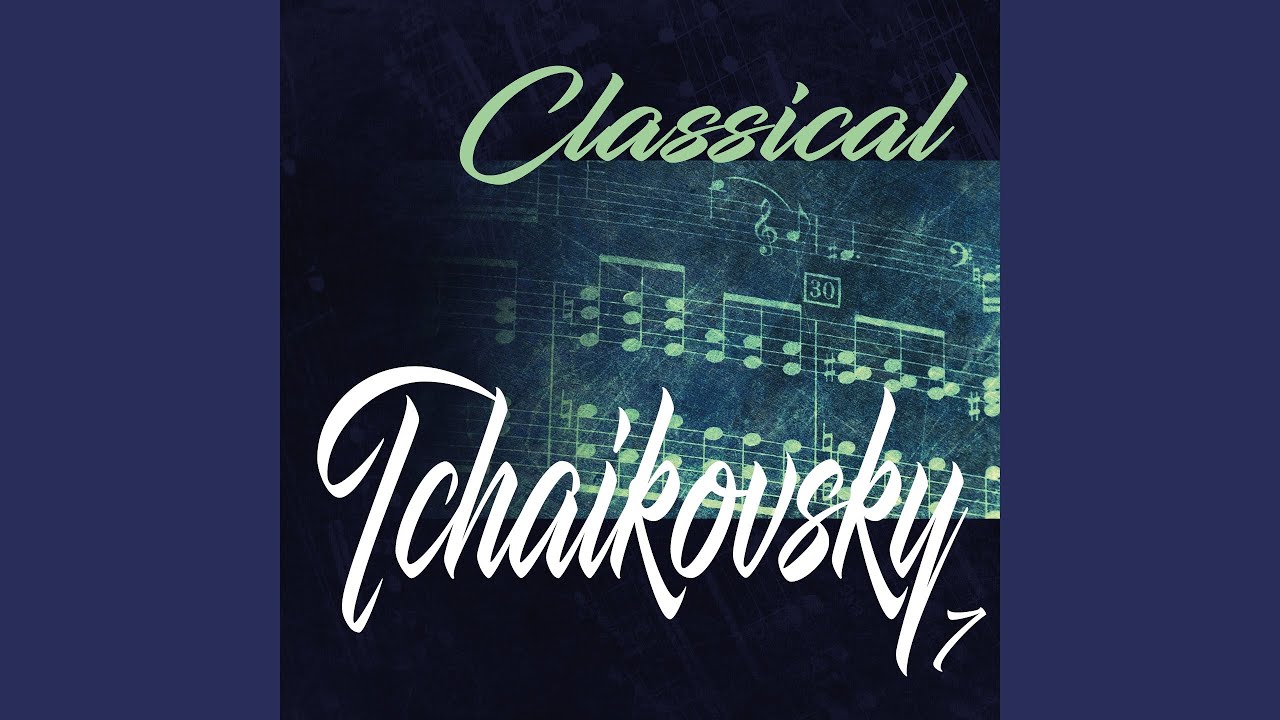 Konzert für Violine und Orchester in D Major, Op. 35: III. Allegro Vivacissimo