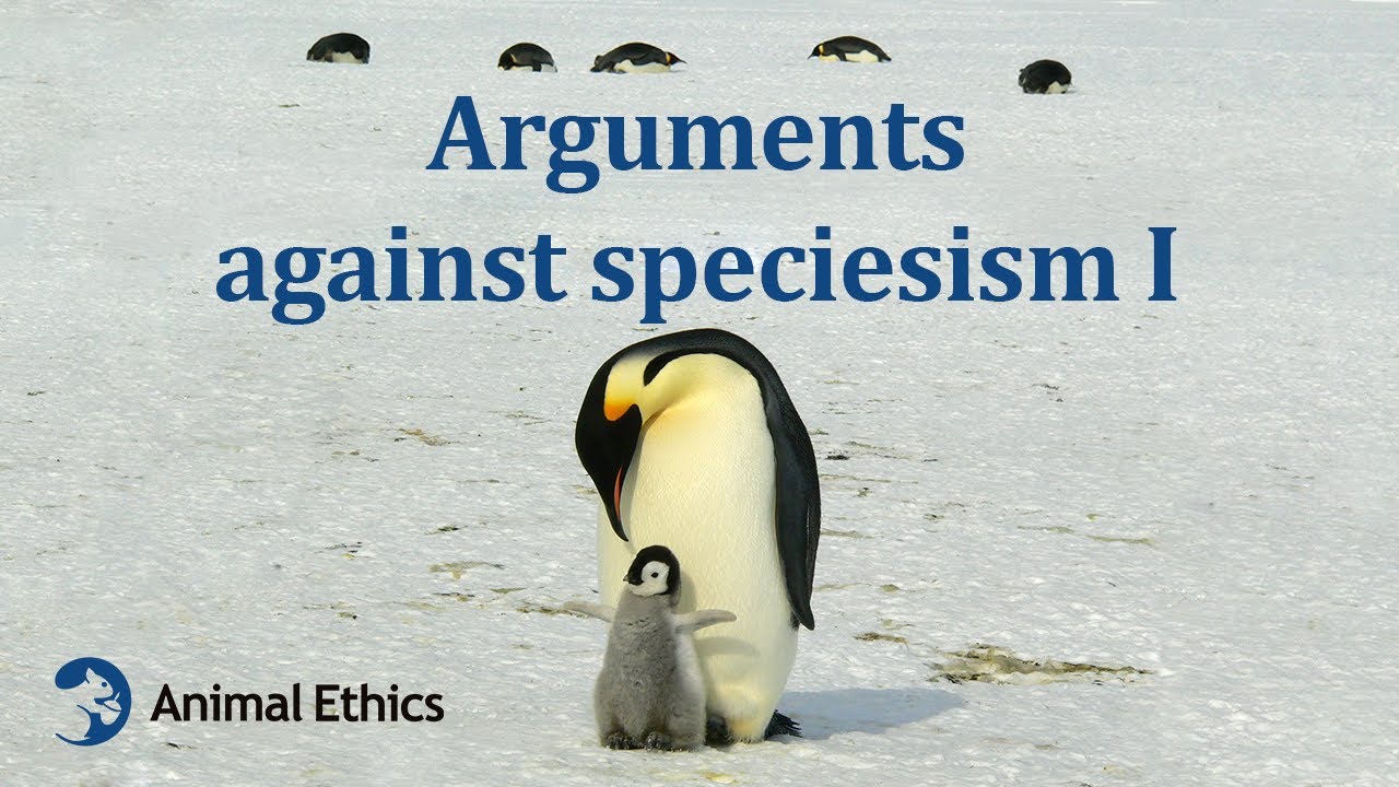 Arguments against speciesism I