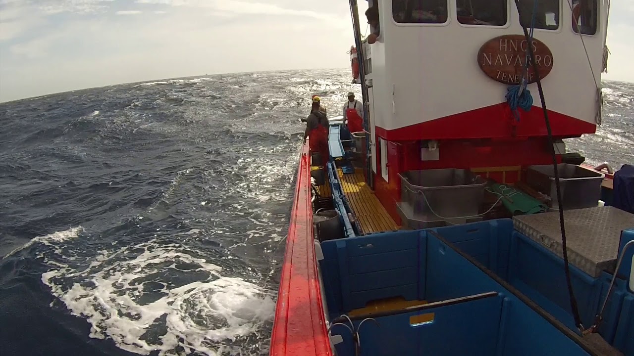 Barco atunero hermanos navarro