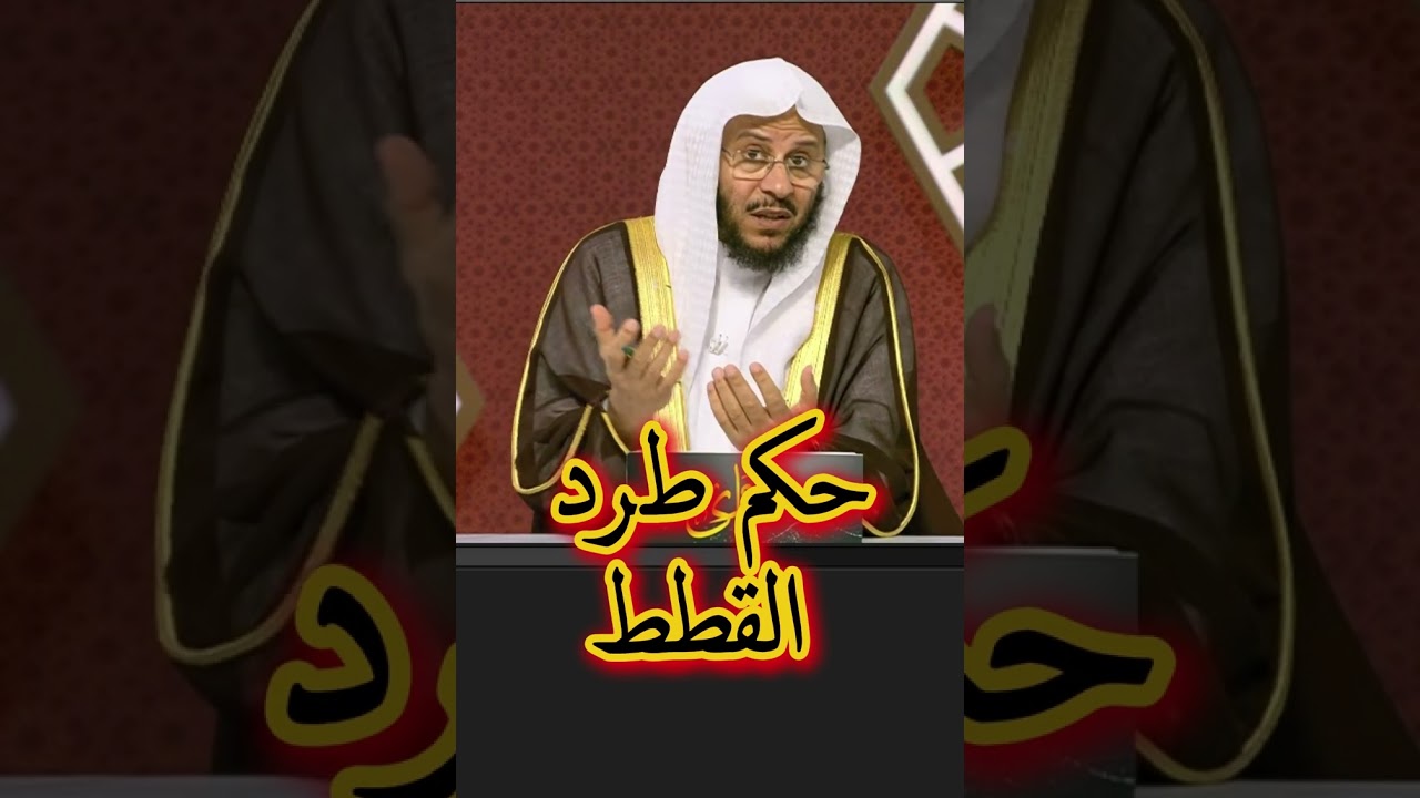 هل يجوز طرد القطط من المنزل؟ الحكم الشرعي الكامل #فتاوى #حكم_شرعي #القطط #اسلاميات #فقه