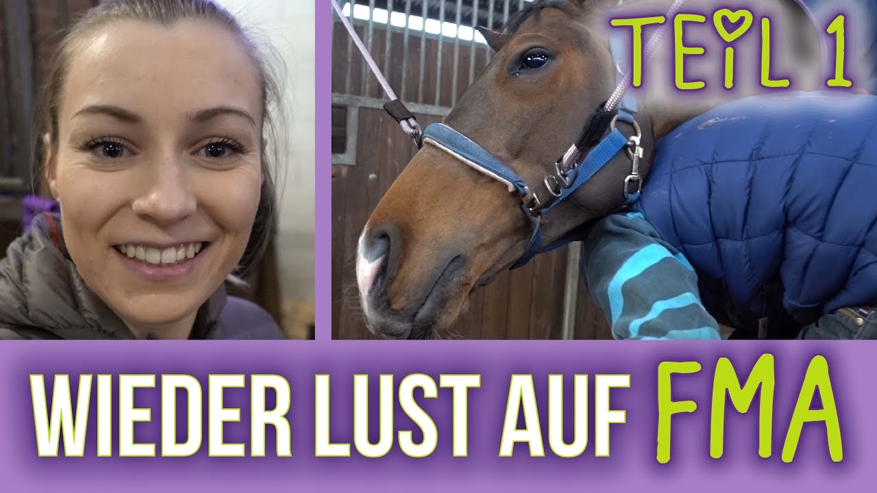 SuperGroom im Einsatz | Die Pferde sind umgezogen! | XXL-FMA November (1/4)