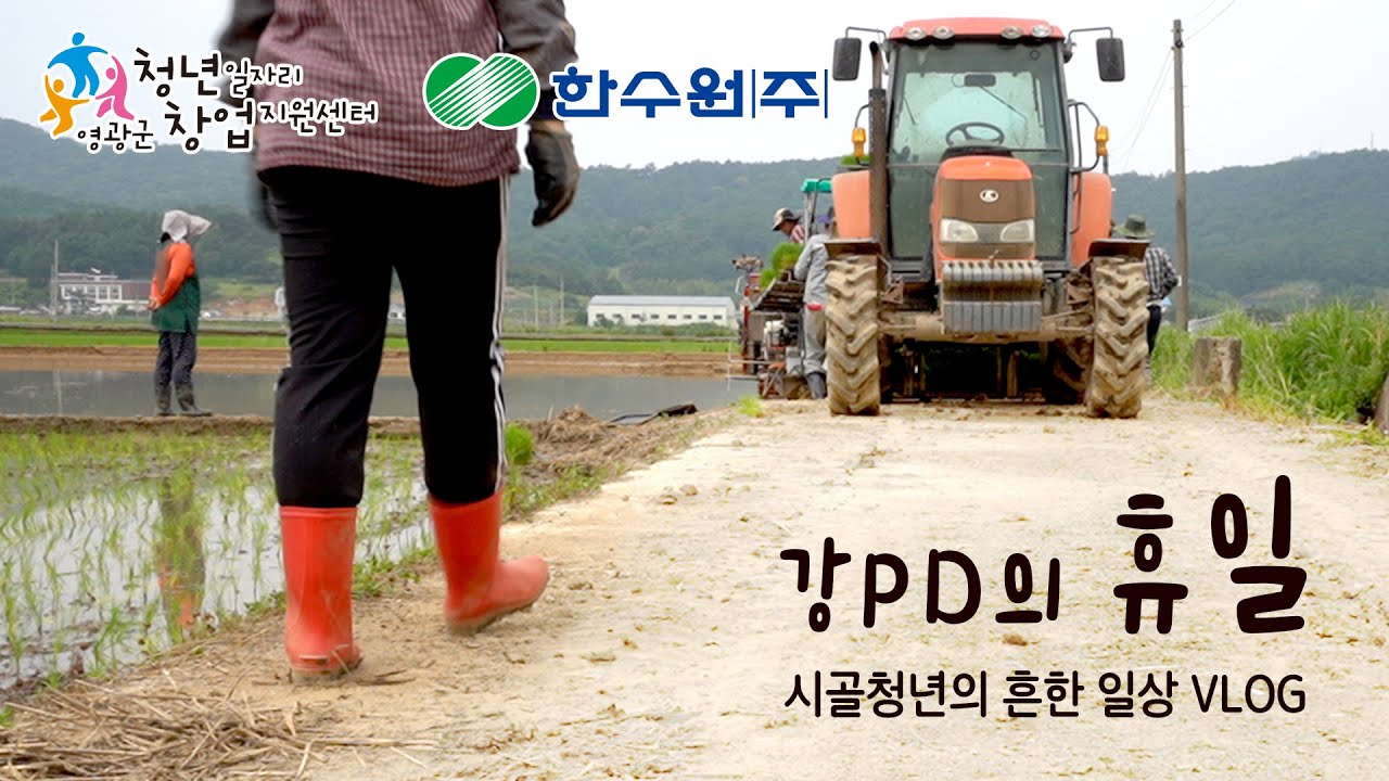 강PD의 휴일(모내기)
