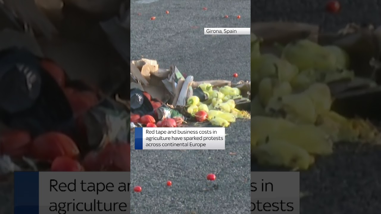 Farmers stage fiery protests in Spain over squeeze on their industry
