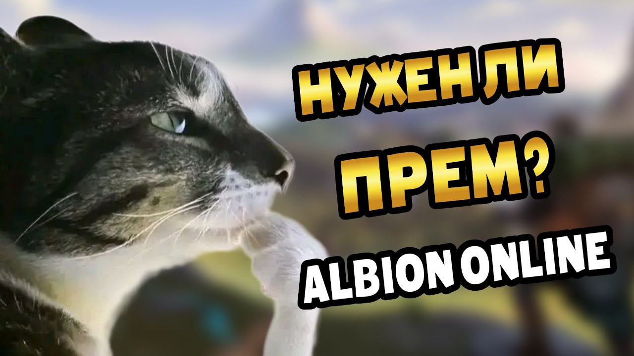 🐱Каким АКТИВНОСТЯМ в игре нужен премиум | Albion online #альбион #albiononline #mmorpg #freetoplay