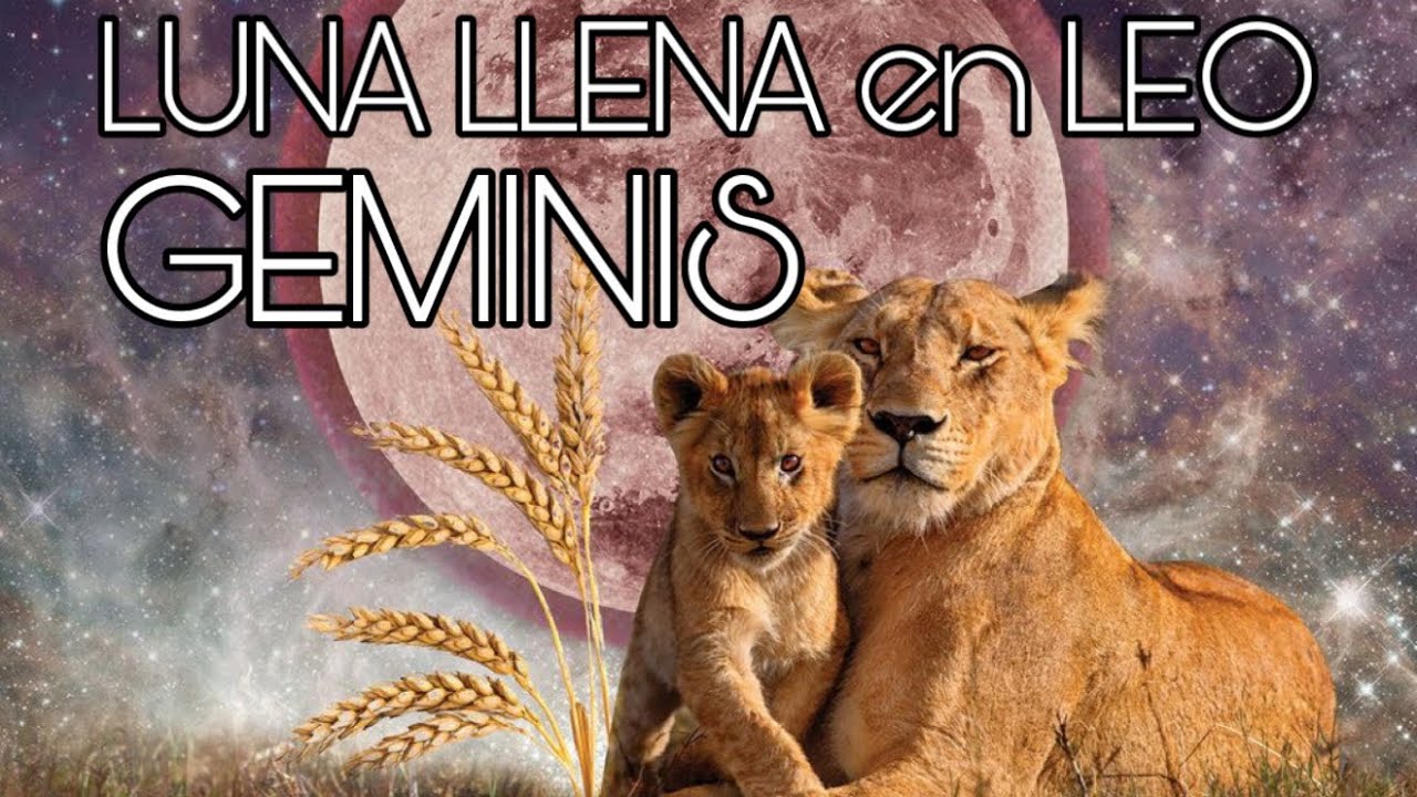 GEMINIS ♊️ LUNA LLENA EN LEO 1-2-2026…WOOW!!!…SOLTANDO TU ARMADURA!!!…🙌🏻☀️🙌🏻