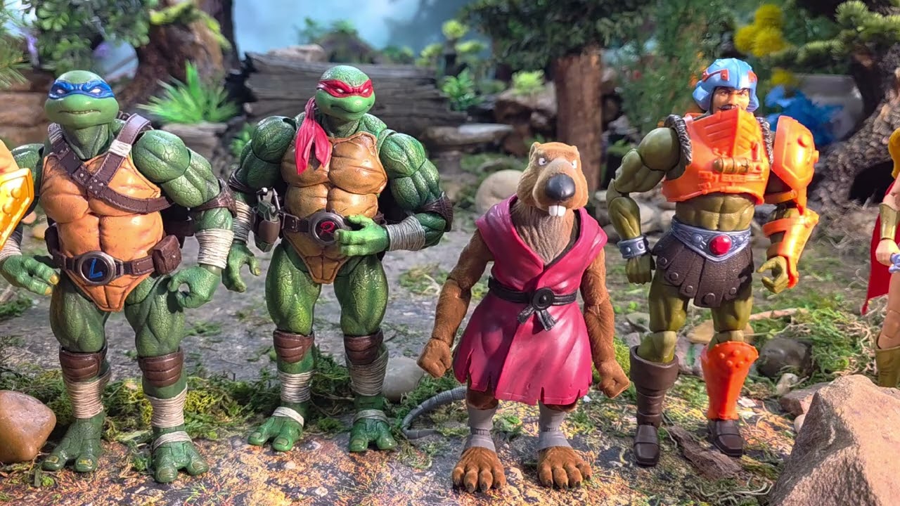 He-Man Allies in a Half Shell
