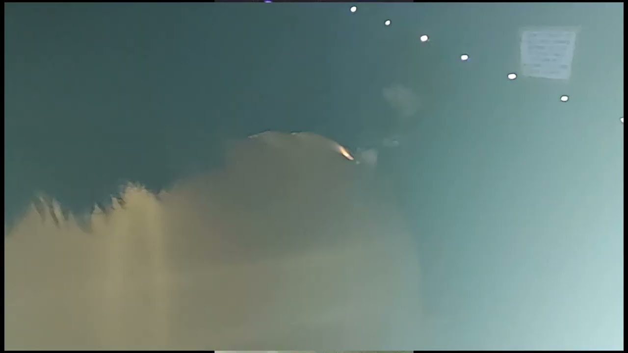 Lassoed In Love [ BMS DANCE ]