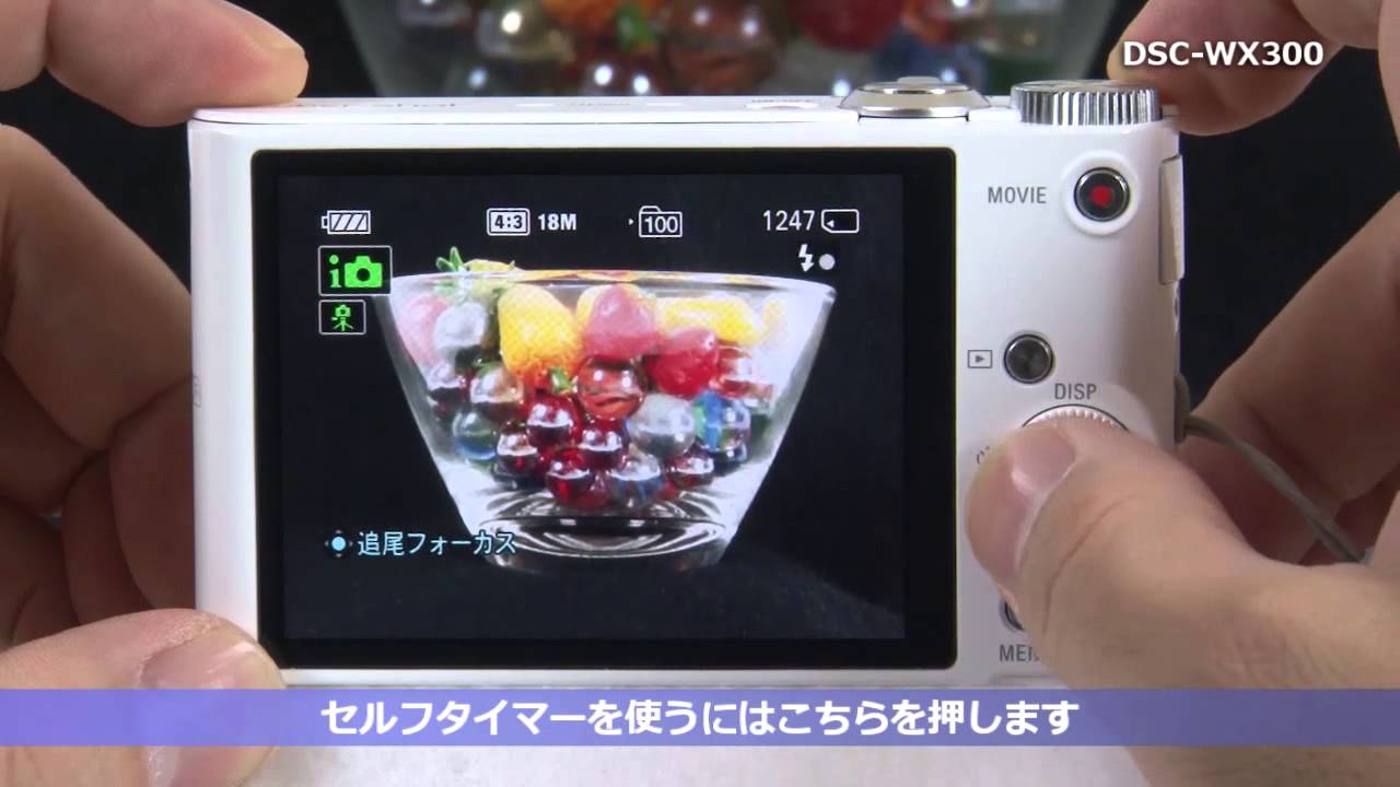 ソニー サイバーショット DSC-WX300セットアップ動画