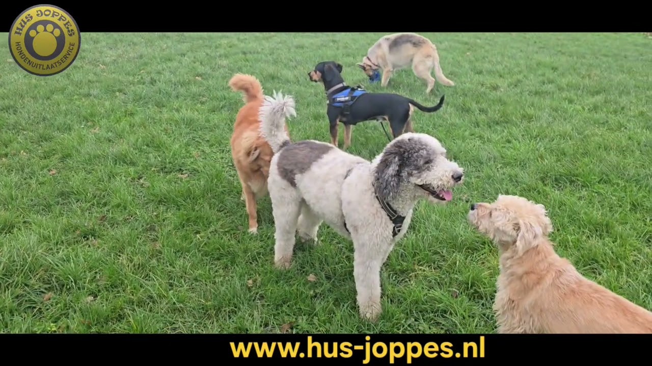 www.hus-joppes.nl