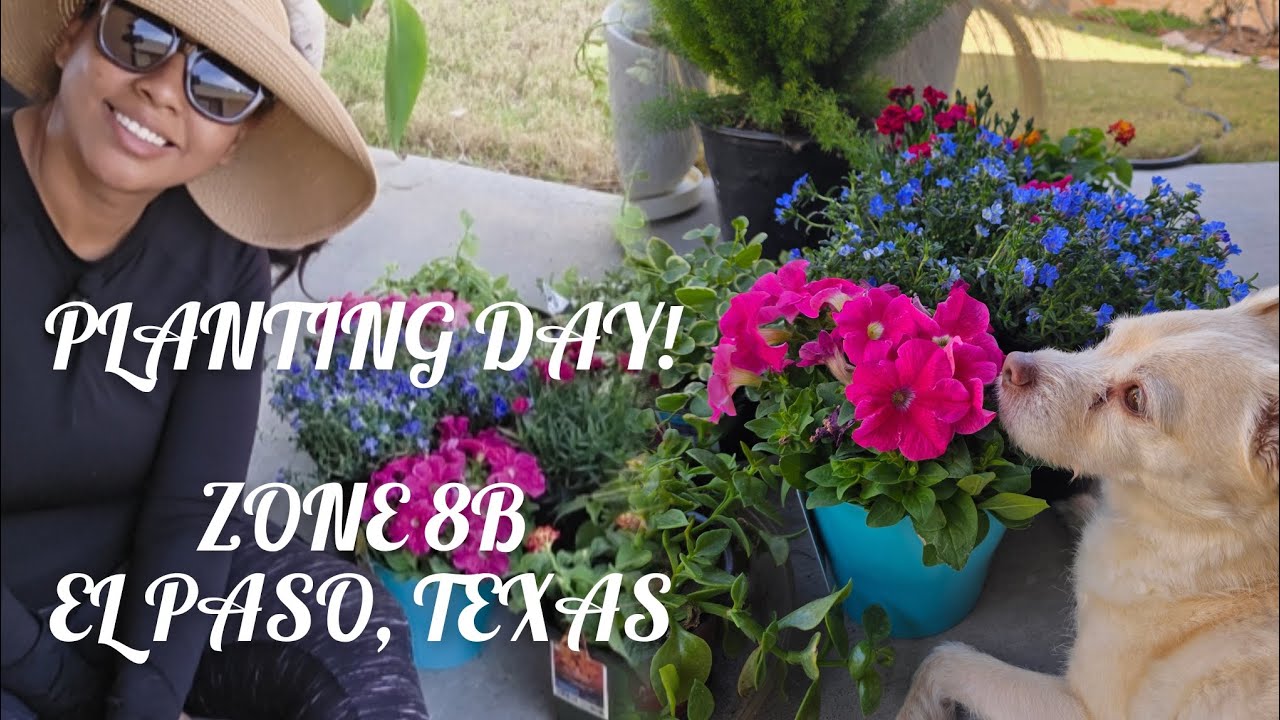 🌸🌵What I’m Planting This Spring in My Zone 8b Desert Garden 🌸🌵
