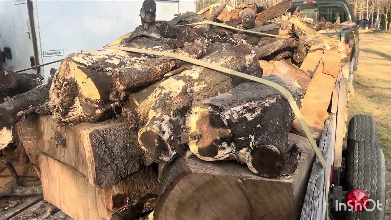 Firewood, preparing for the winter